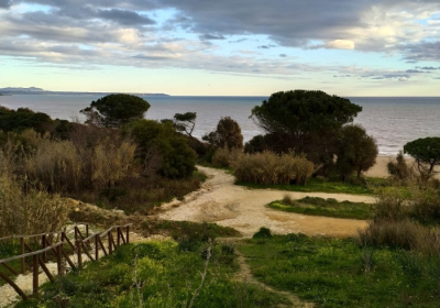 Casa Vacanze Residence Case Selinuntine